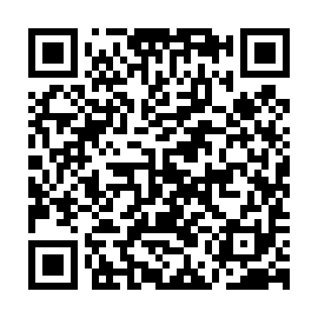 QR code for AEI491