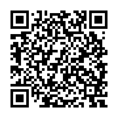 QR code for AFN383