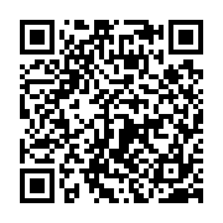 QR code for AIG737