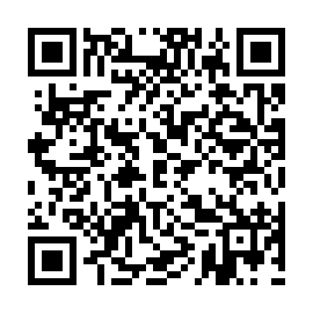 QR code for AIY392