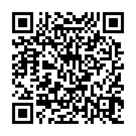 QR code for ALT302