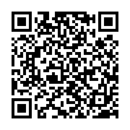 QR code for ANT513