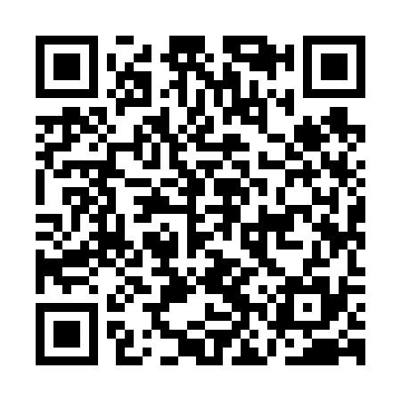QR code for ANY635