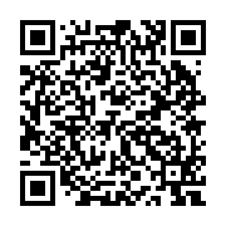 QR code for APA295