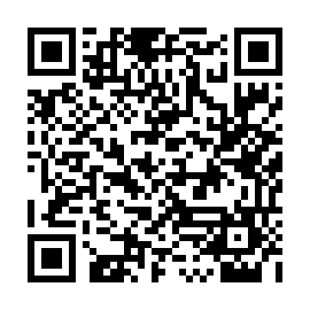 QR code for API667