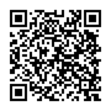 QR code for ASM482