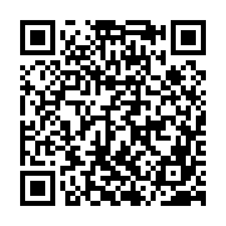QR code for ASS166