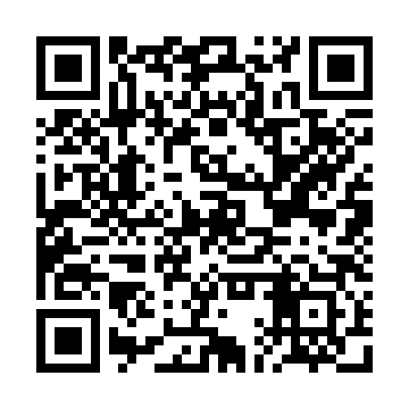 QR code for BAS383