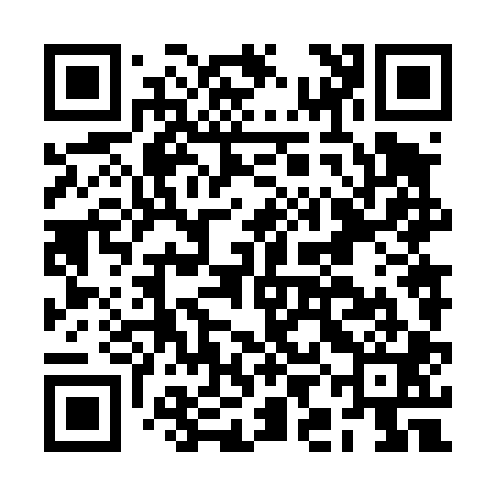 QR code for BIN401