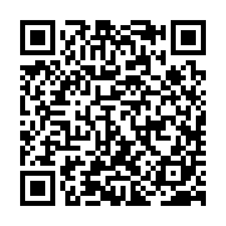 QR code for BIR300