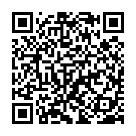 QR code for BIR519