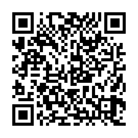 QR code for BIR569