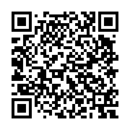 QR code for BMI411
