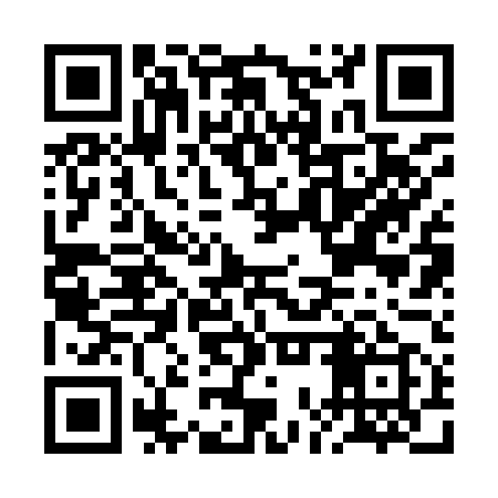 QR code for BOR959