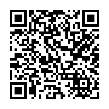 QR code for BRI394