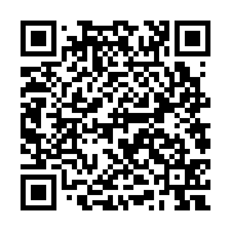 QR code for BTF335