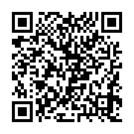 QR code for BUL579