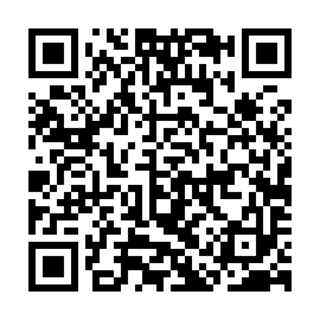 QR code for CAT993