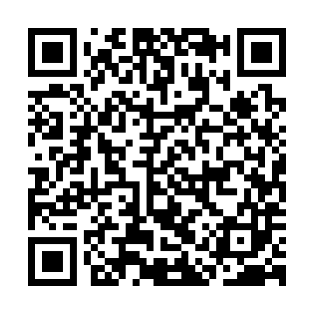 QR code for CAU383