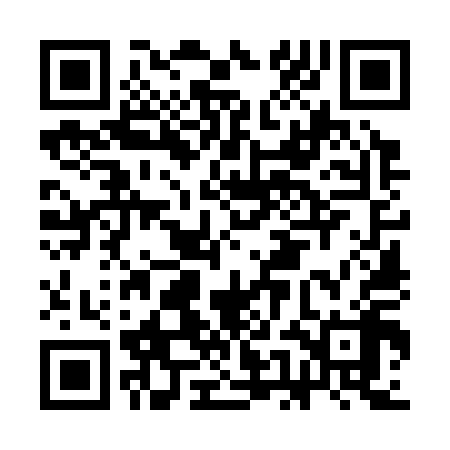 QR code for CEO318