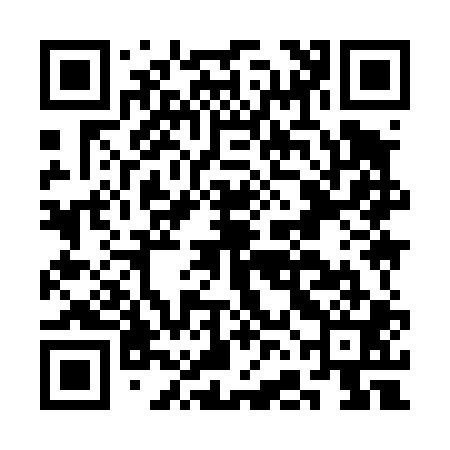 QR code for CFI401