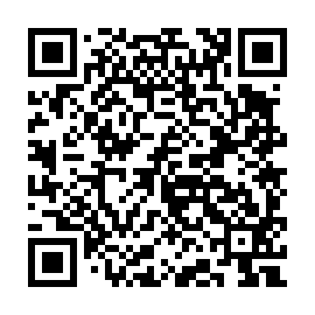QR code for CFO493