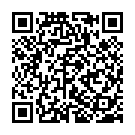 QR code for CHI038