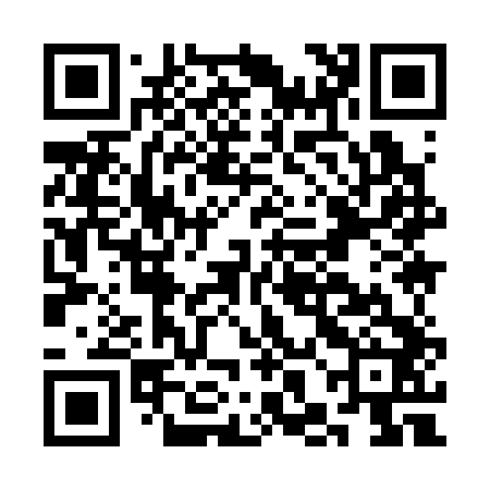 QR code for CHI342