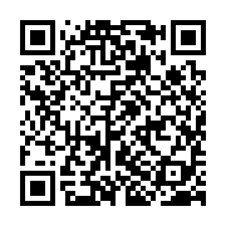 QR code for CHI399