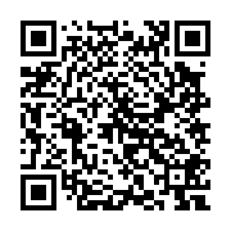QR code for CHJ008