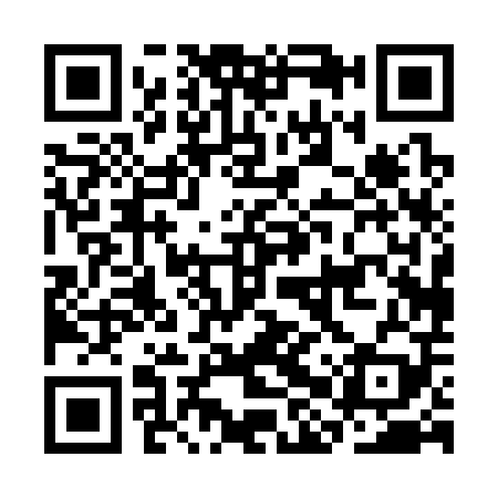 QR code for CHP309