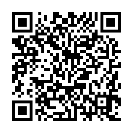 QR code for CHP995