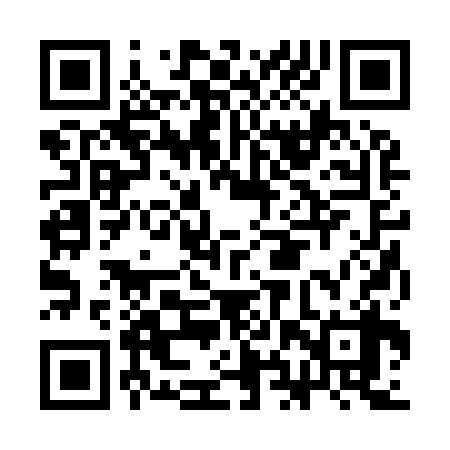 QR code for CHR938