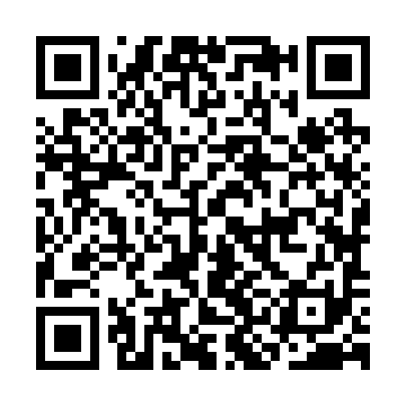 QR code for CKJ291