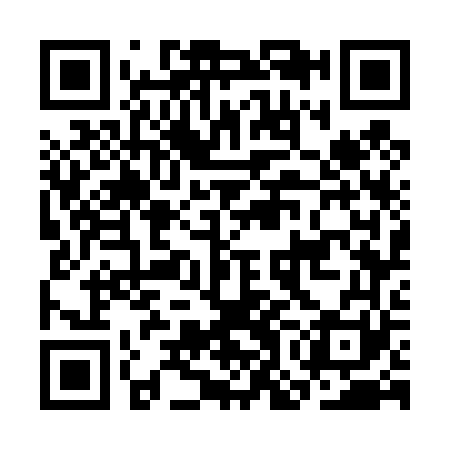 QR code for COG461