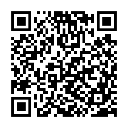 QR code for CPI666