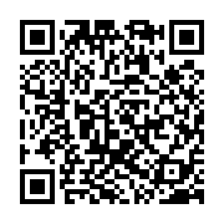 QR code for CPU519