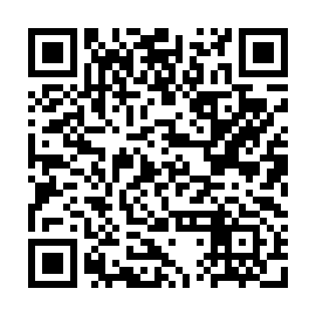 QR code for CTH493