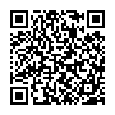 QR code for CYX617