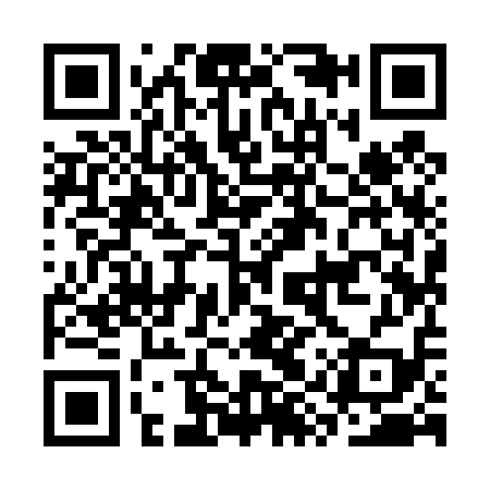 QR code for CYY419