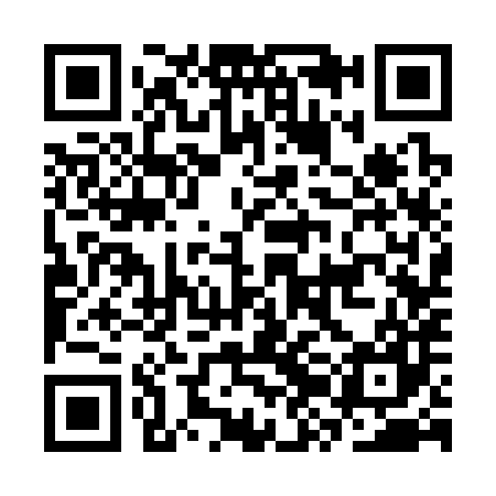 QR code for CZC387