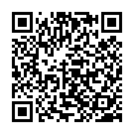 QR code for CZG428