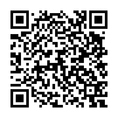 QR code for CZG433