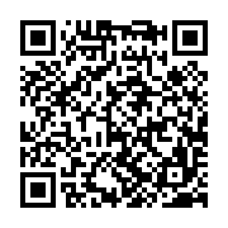 QR code for CZT096