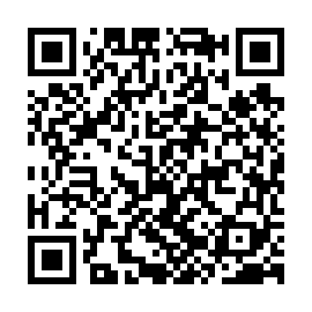 QR code for CZY669