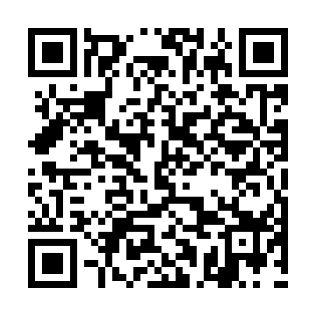 QR code for DAE959