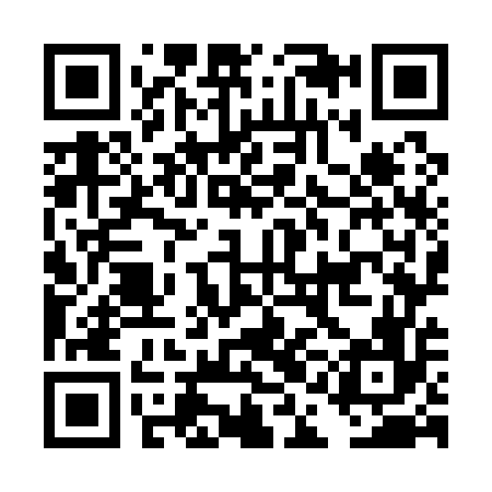 QR code for DAO156