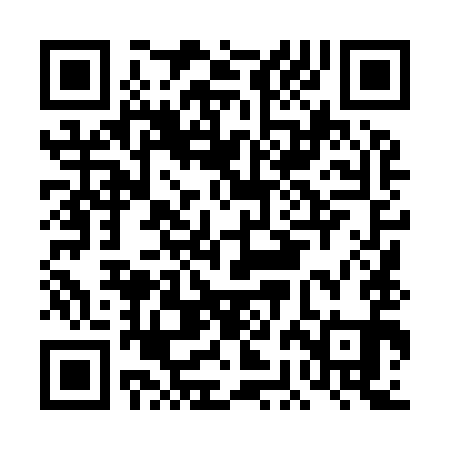 QR code for DBL991