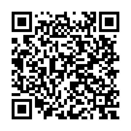 QR code for DDI551