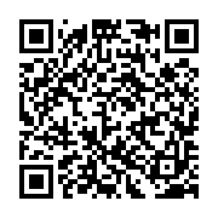 QR code for DDN593